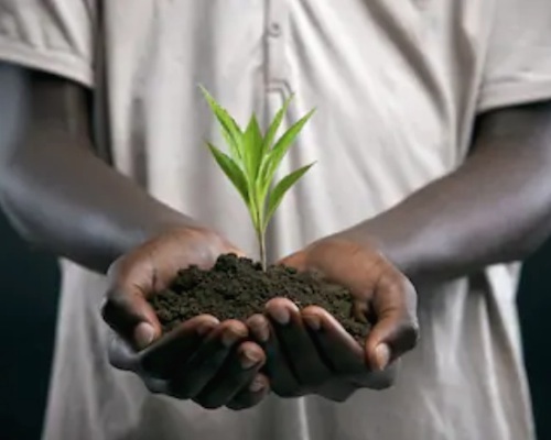 PROTECTION DE L'ENVIRONNEMENT